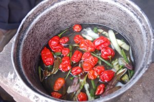 150245_1760575776557_1303922679_32073164_7733978_n